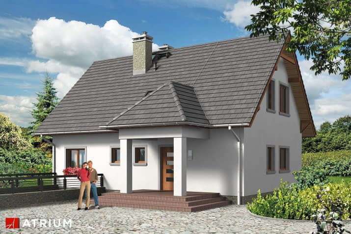 S-GL 558 Król Maciuś Bis - wizualizacja 2