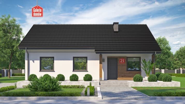 Dom przy Bukowej 21 - wizualizacja 2