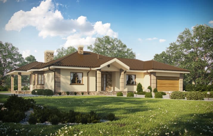 D172 - Zbigniew z garażem wersja drewniana WT2021 - wizualizacja 2