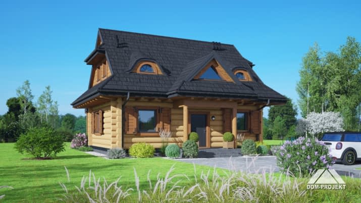 krasnorost dw - wizualizacja 2