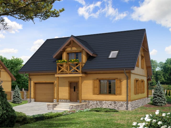 Arnika 2 dr-S (DR-S) - wizualizacja 2