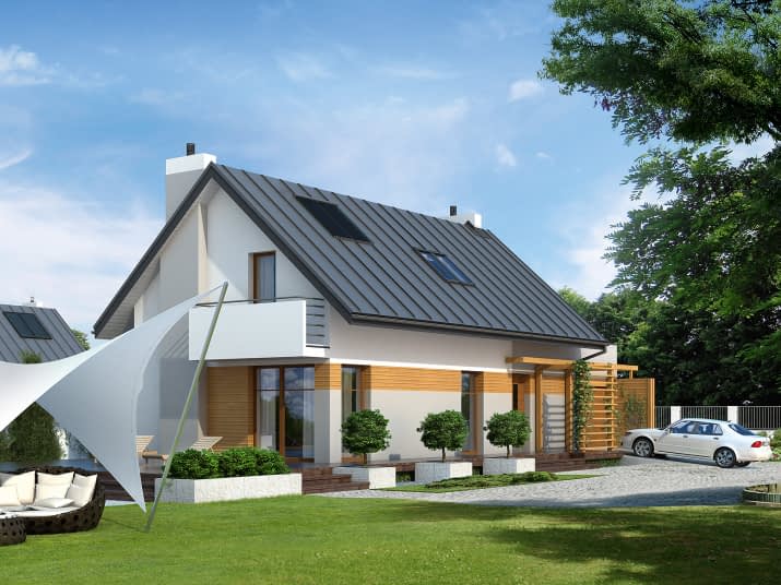 Len (CE) - wizualizacja 2