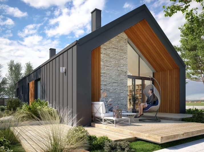 Opuncja (CE) - wizualizacja 2