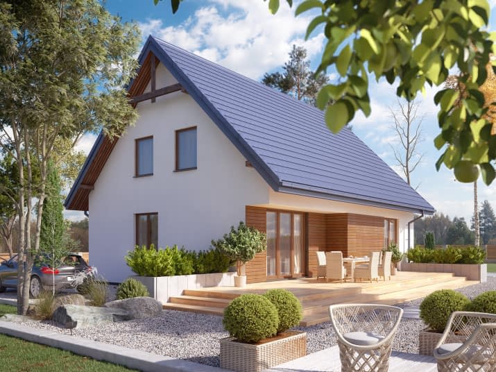 Arion 2 (CE) - wizualizacja 2