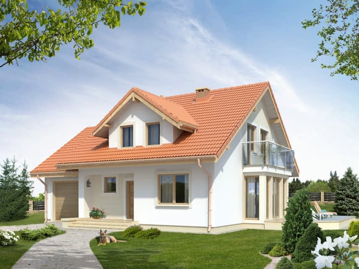 Boguśka dr-T (DR-T) - wizualizacja 2