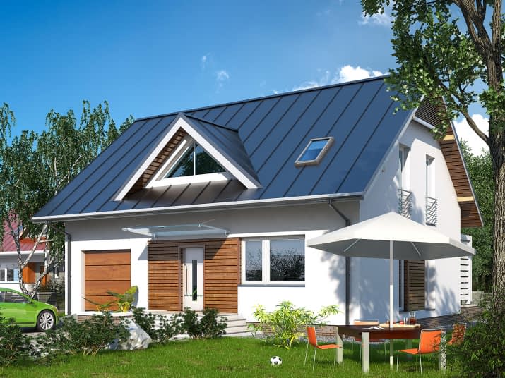 Malina (CE) - wizualizacja 2