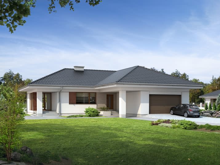 Ambrozja (CE) - wizualizacja 2