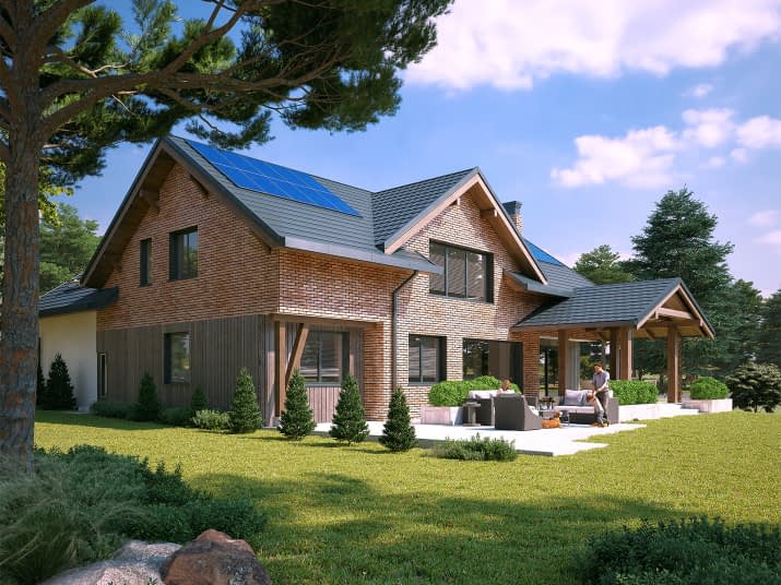 Anyż (SI) - wizualizacja 2