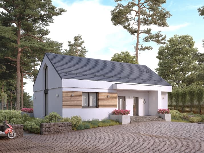 Cytrus (KO) - wizualizacja 2