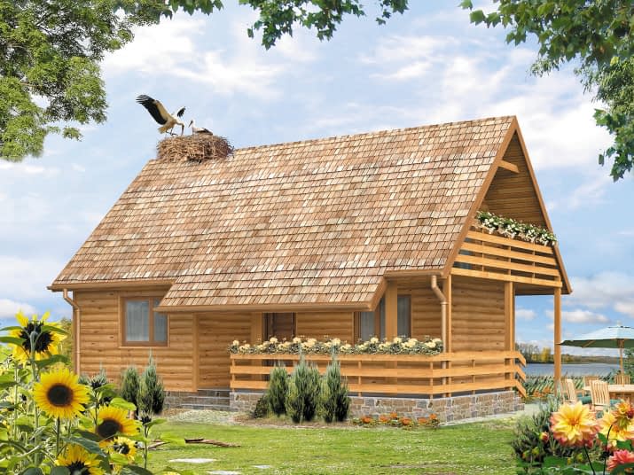 Biedronka bal (BAL) - wizualizacja 2