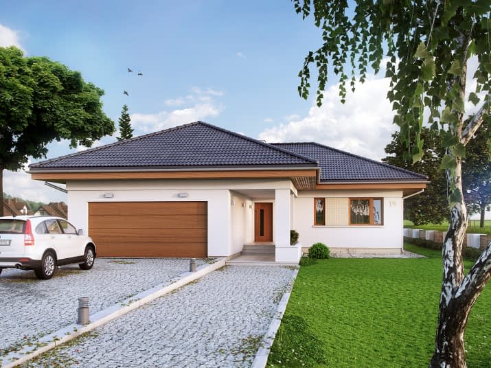 Kiwi (CE) - wizualizacja 2