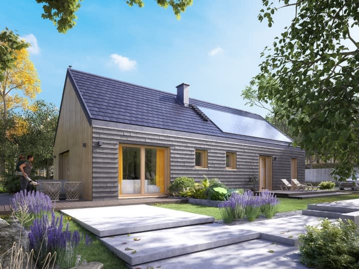 Paproć 4 (CE) - wizualizacja 2