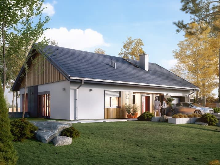 Pasja (CE) - wizualizacja 2