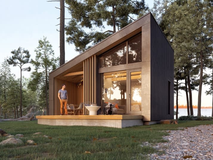 Szyszka 3 dr-S (DR-S) - wizualizacja 2