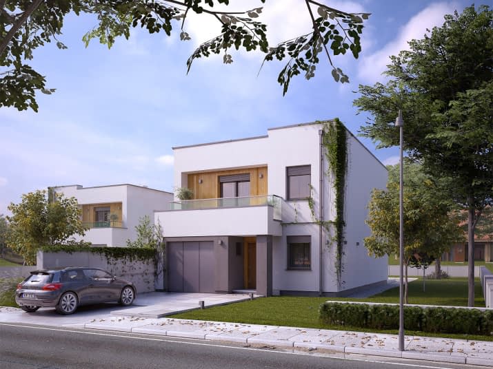 Dąb W (CE) - wizualizacja 2