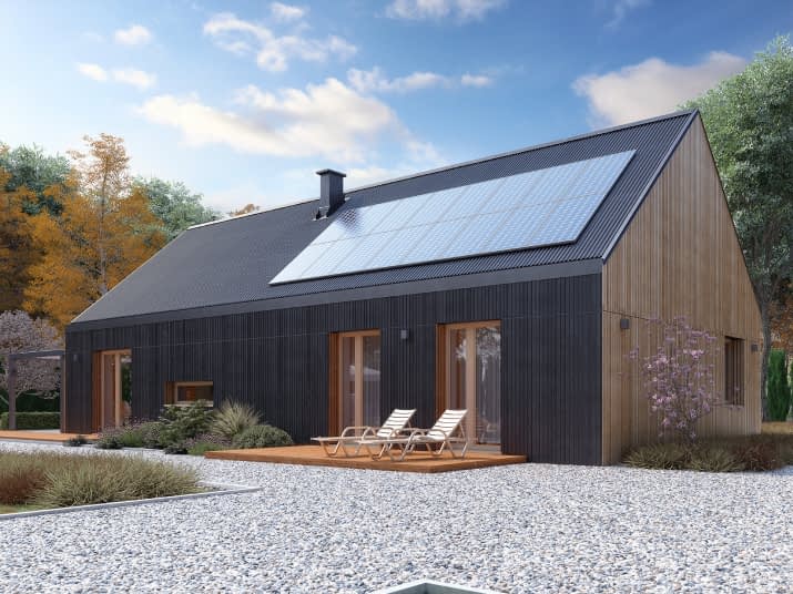 Paproć 3 (CE) - wizualizacja 2