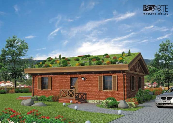 EL PINAR dom z zielonym dachem - wizualizacja 2