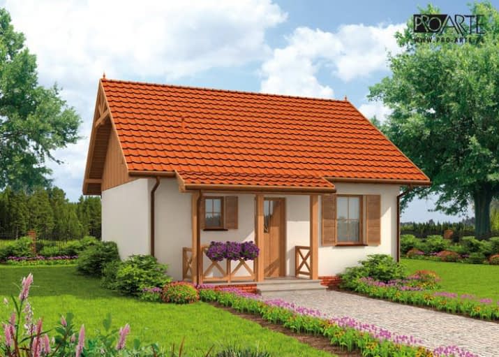 MINESOTA dom letniskowy - wizualizacja 2