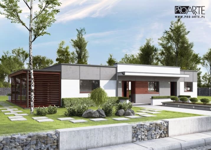 SARI dom dwulokalowy - wizualizacja 2