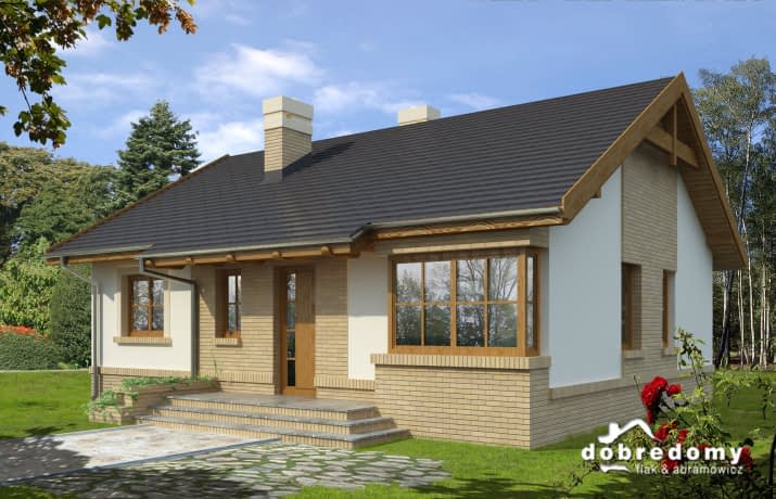 Markus - wizualizacja 2