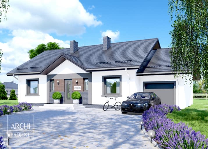 APS 239 + G - wizualizacja 2