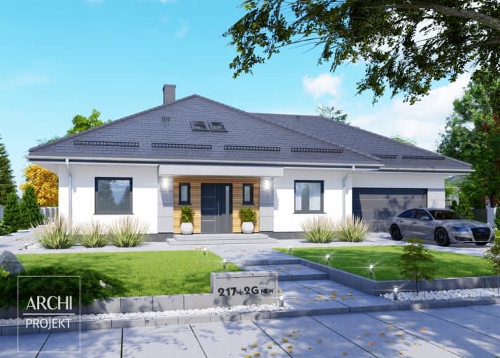 APS 217 + 2G NEW - wizualizacja 2