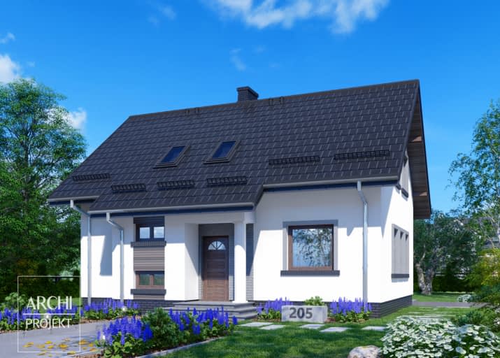 APS 205 - wizualizacja 2