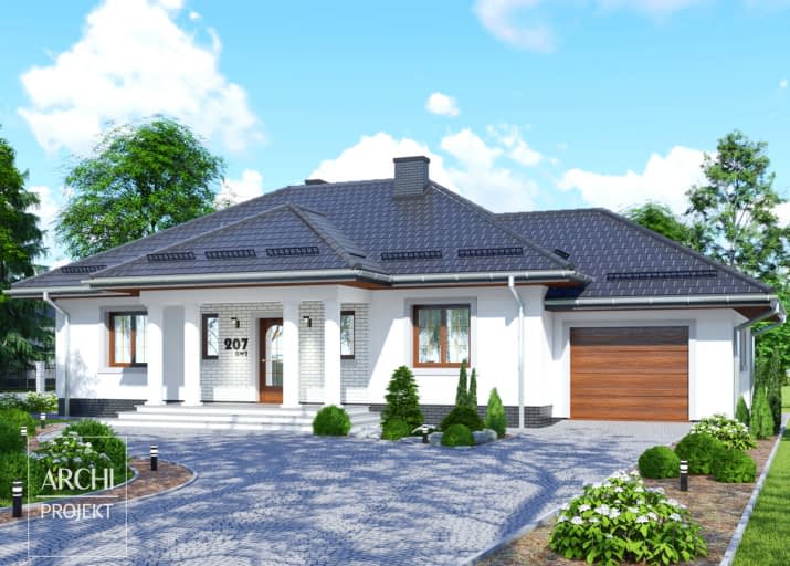 APS 207 + G - wizualizacja 2