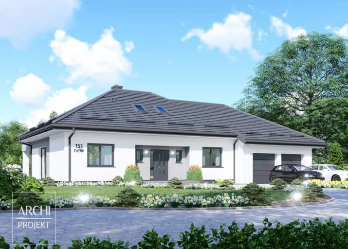 APS 151 NEW+2G - wizualizacja 2