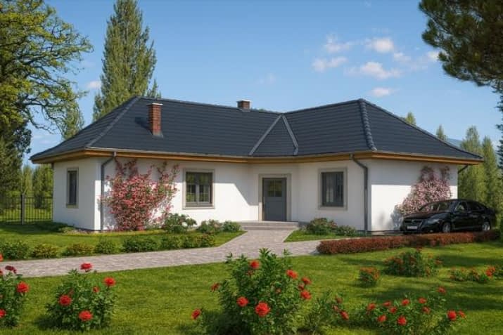 A-113 szkieletowy - wizualizacja 2