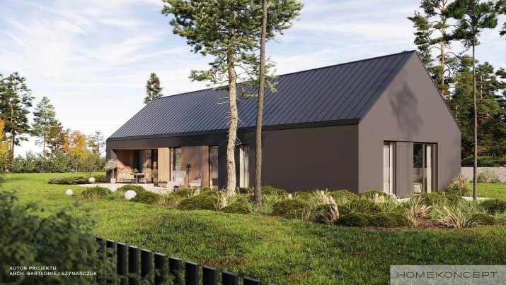 HOMEKONCEPT 118 - wizualizacja 2