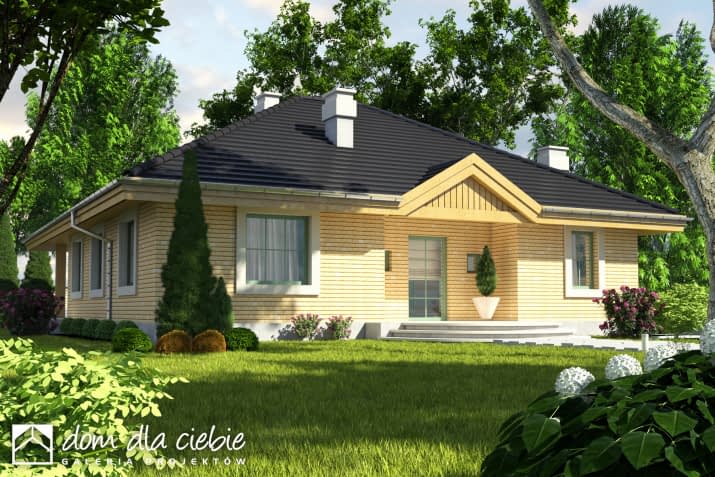 Tomaszek II - wizualizacja 2