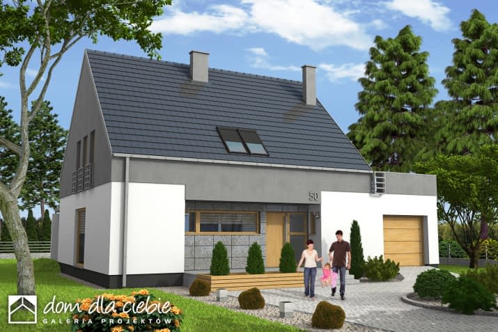 Oleg z garażem - wizualizacja 2