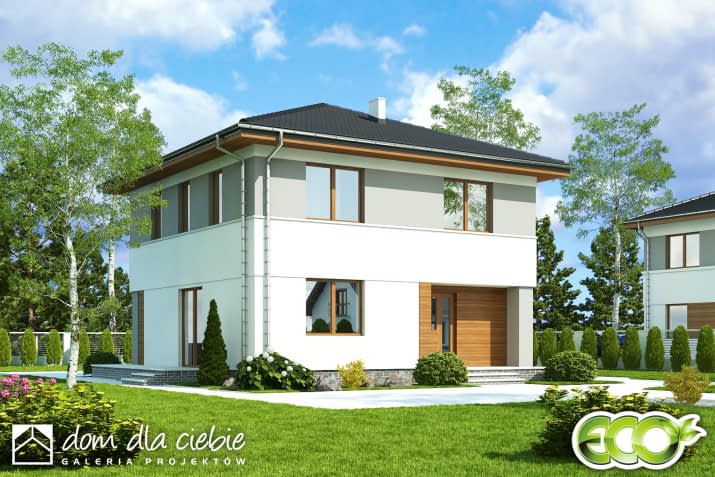 Tadeusz - wizualizacja 2