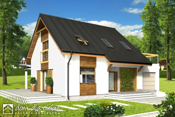 Franek z garażem - wizualizacja 2