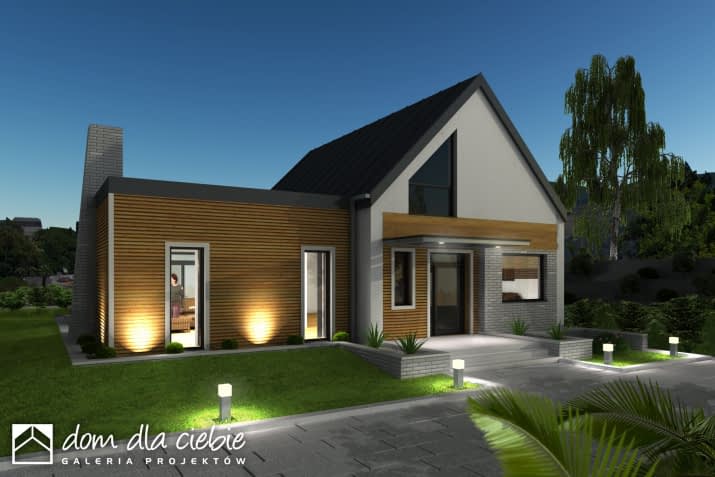 Tytus bez garażu - wizualizacja 2