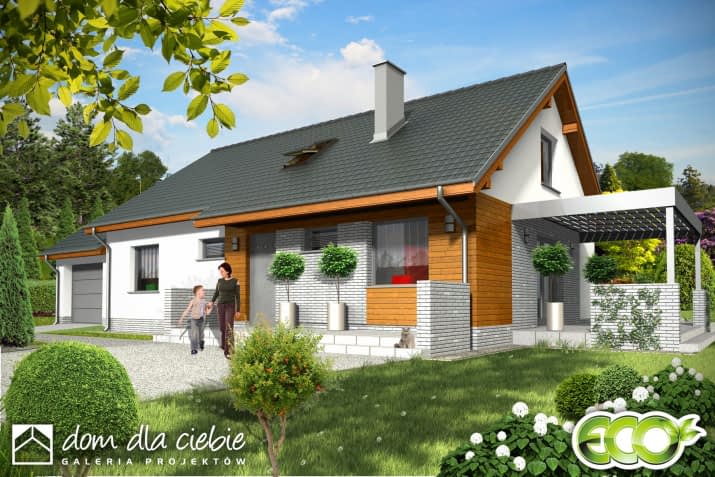 Hirek trend z garażem - wizualizacja 2