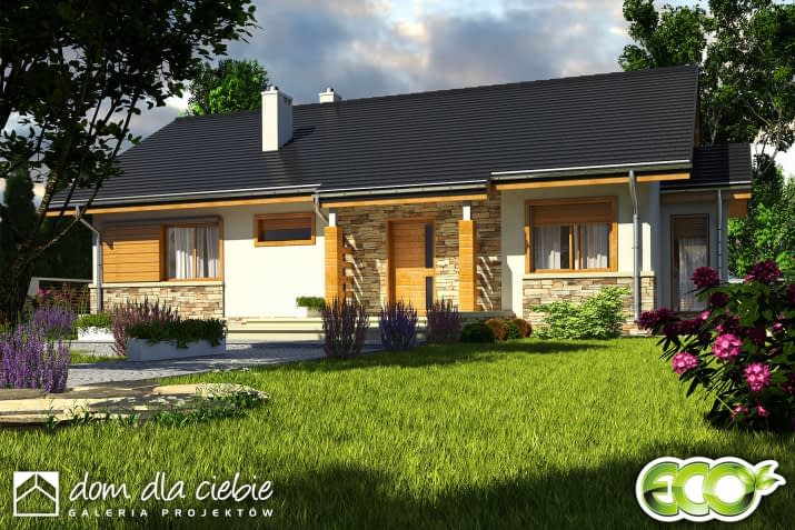 Gąska - wizualizacja 2