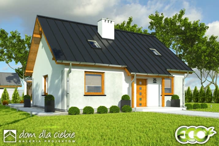 Marcin II B1 - wizualizacja 2