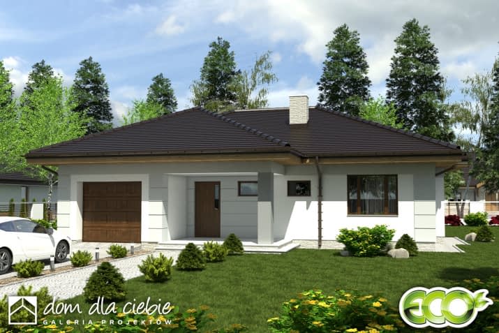 Radek III z garażem - wizualizacja 2