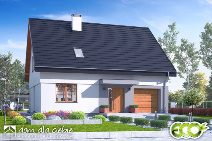 Igor z garażem - wizualizacja 2