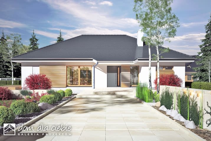 Arnika II B - wizualizacja 2