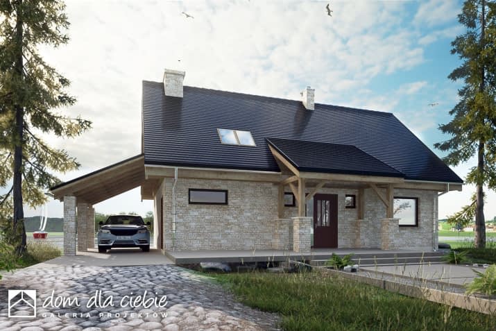 Ziomek z wiatą - wizualizacja 2