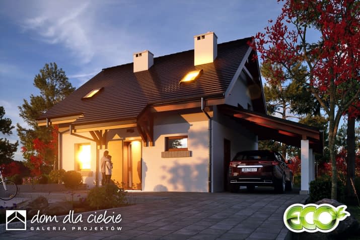 Daktyl z wiatą - wizualizacja 2