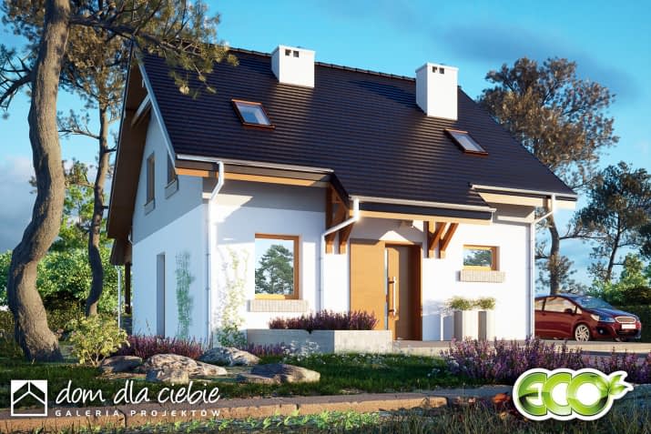 Daktyl bez garażu - wizualizacja 2