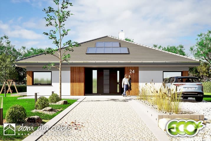 Aura - wizualizacja 2