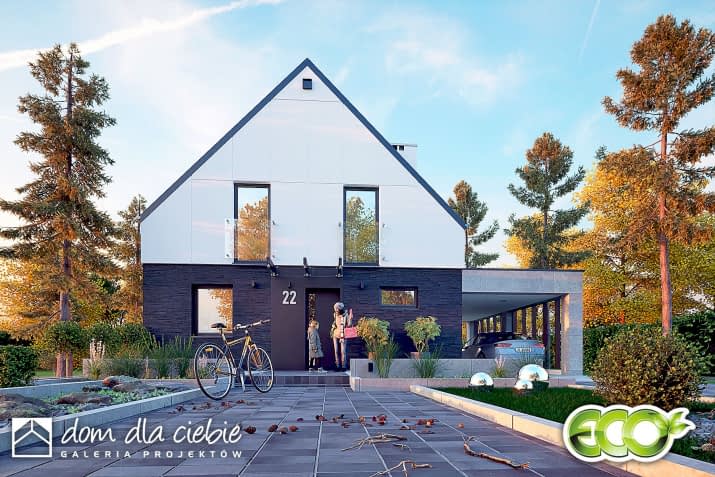 Daktyl II z wiatą - wizualizacja 2