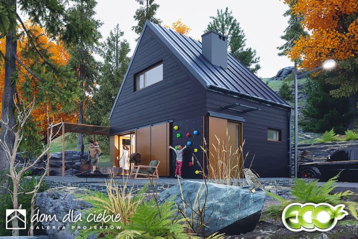 Kamyczek - wizualizacja 2