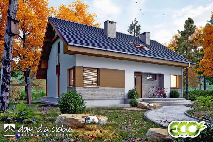 Paprotka - wizualizacja 2