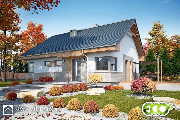 Lusia - wizualizacja 2